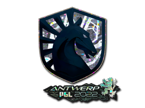 Team Liquid (Glitter) | Antwerp 2022 image